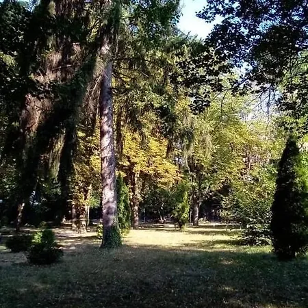 'o Sole Mio Garmen